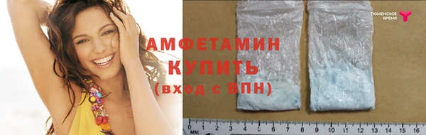 прущие грибы Ростов