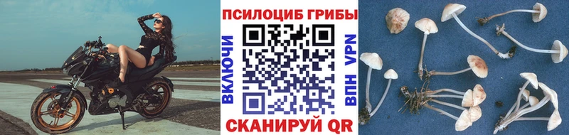 Псилоцибиновые грибы ЛСД  купить наркоту  Кимры 