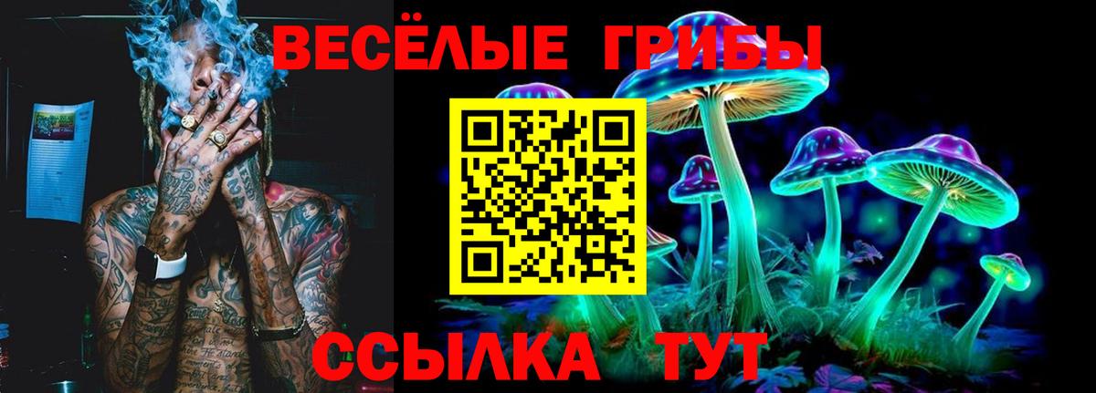 Псилоцибиновые грибы прущие грибы Кимры